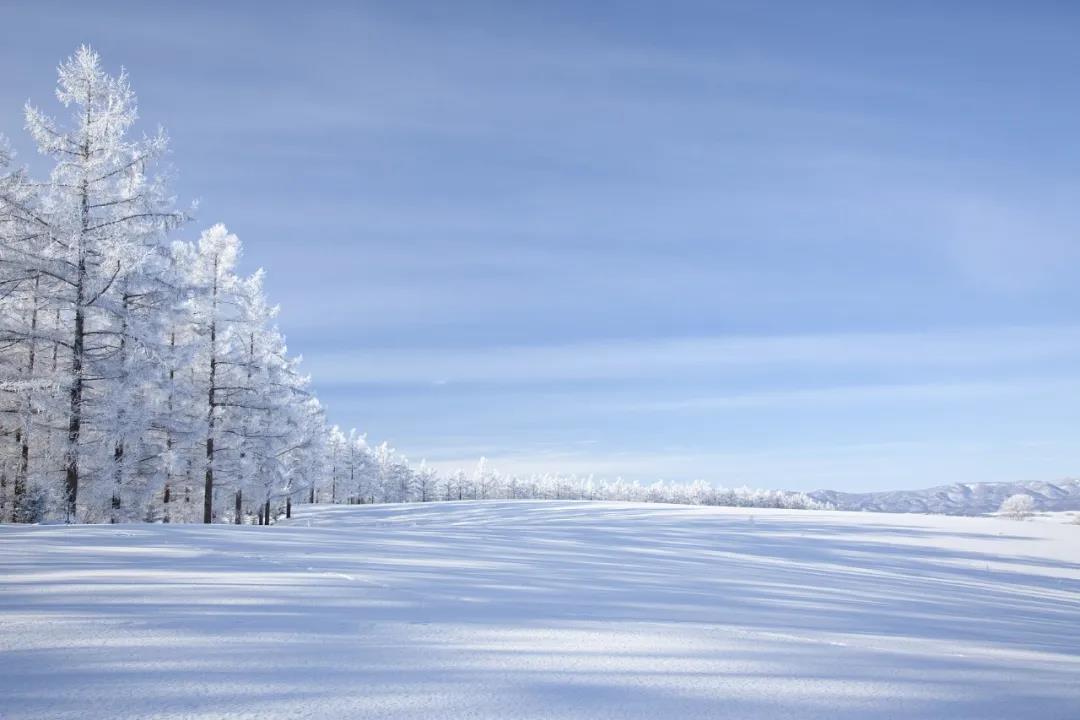 今日大雪！品讀雪中意境！